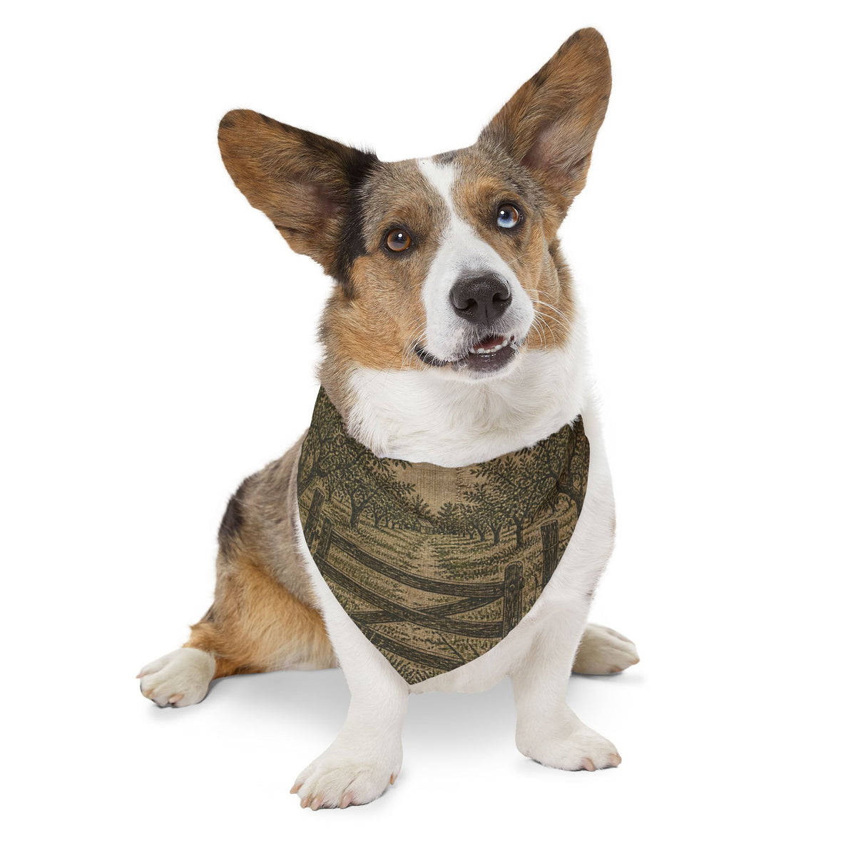 Dog Bandana Collar – Grain-Sack Orchard Gate | Machine-Washable, S–XL