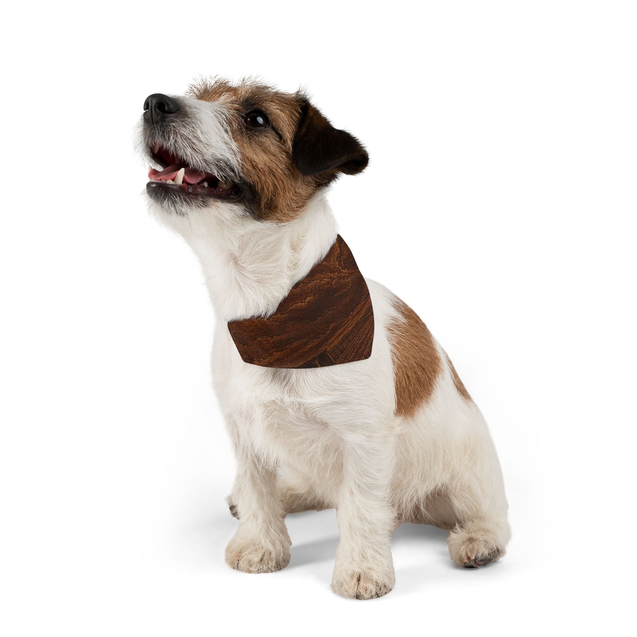 Windmill Dog Bandana Collar – Embossed Leather Windmill | Machine-Washable, S–XL