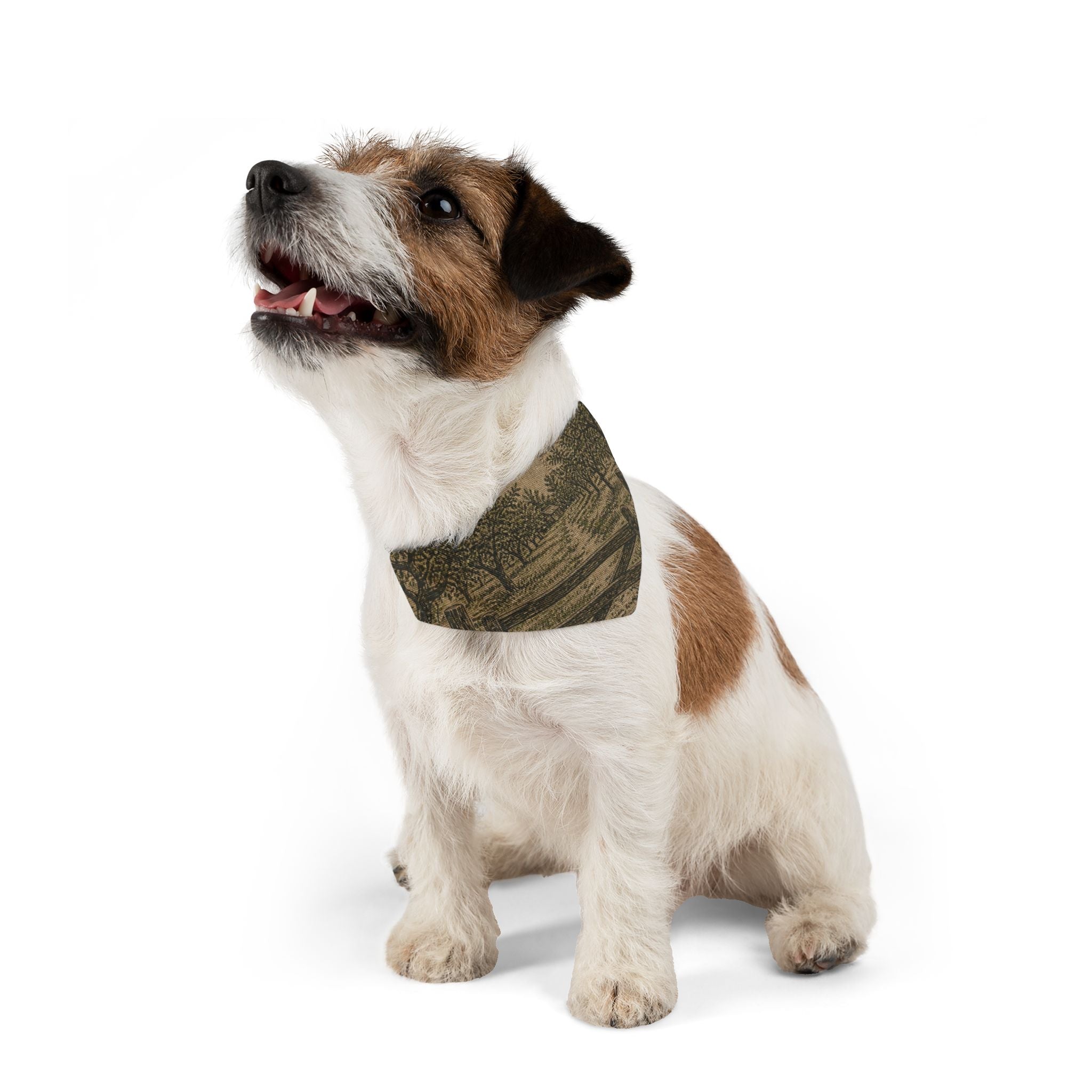 Dog Bandana Collar – Grain-Sack Orchard Gate | Machine-Washable, S–XL