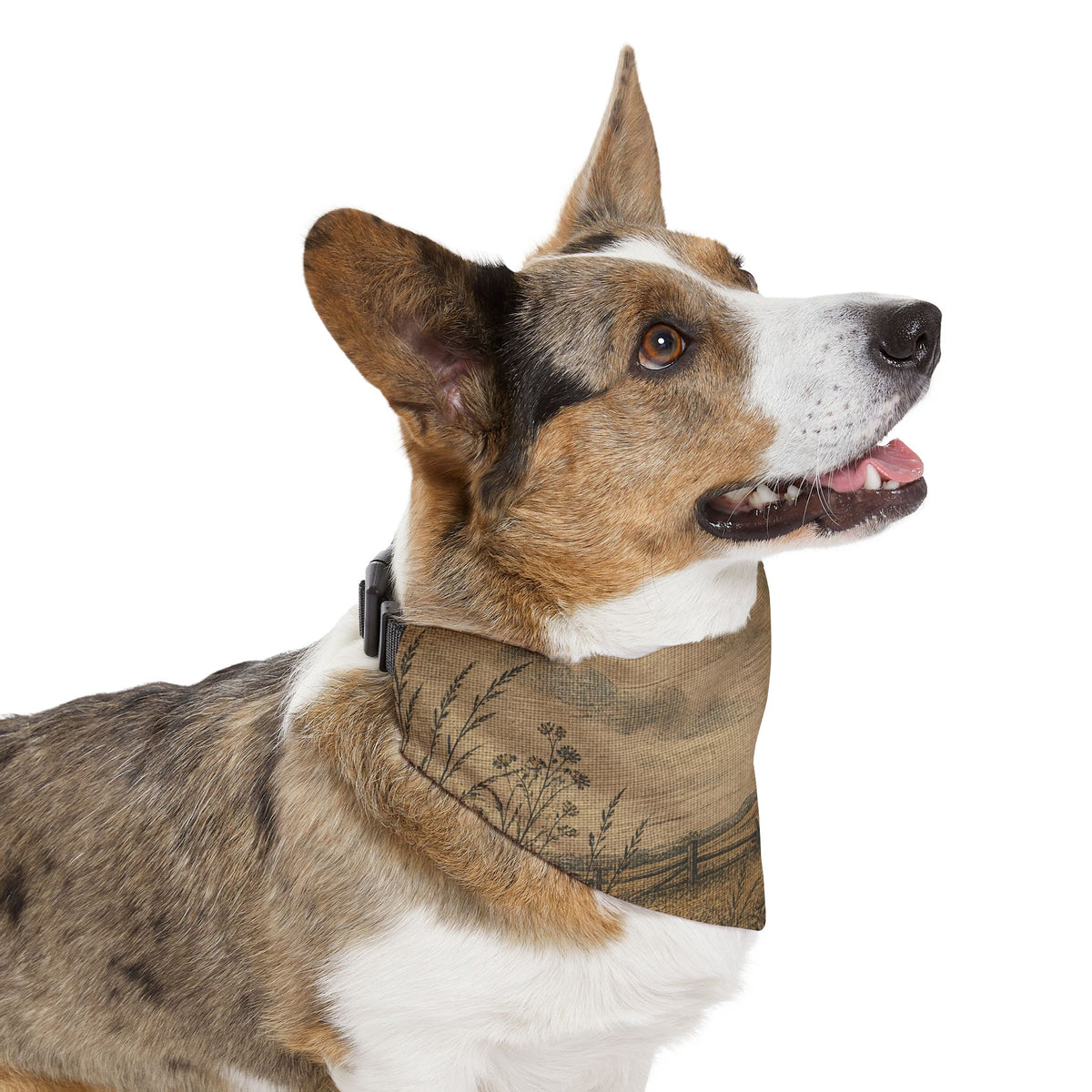 Dog Bandana Collar – Linen Field & Barn | Machine-Washable, S–XL