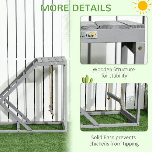 The Chicken Playground — Perch, Swing & Ladder