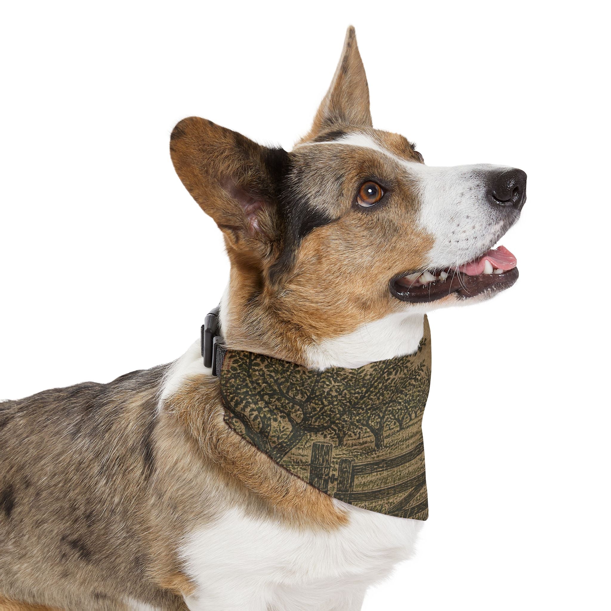 Dog Bandana Collar – Grain-Sack Orchard Gate | Machine-Washable, S–XL