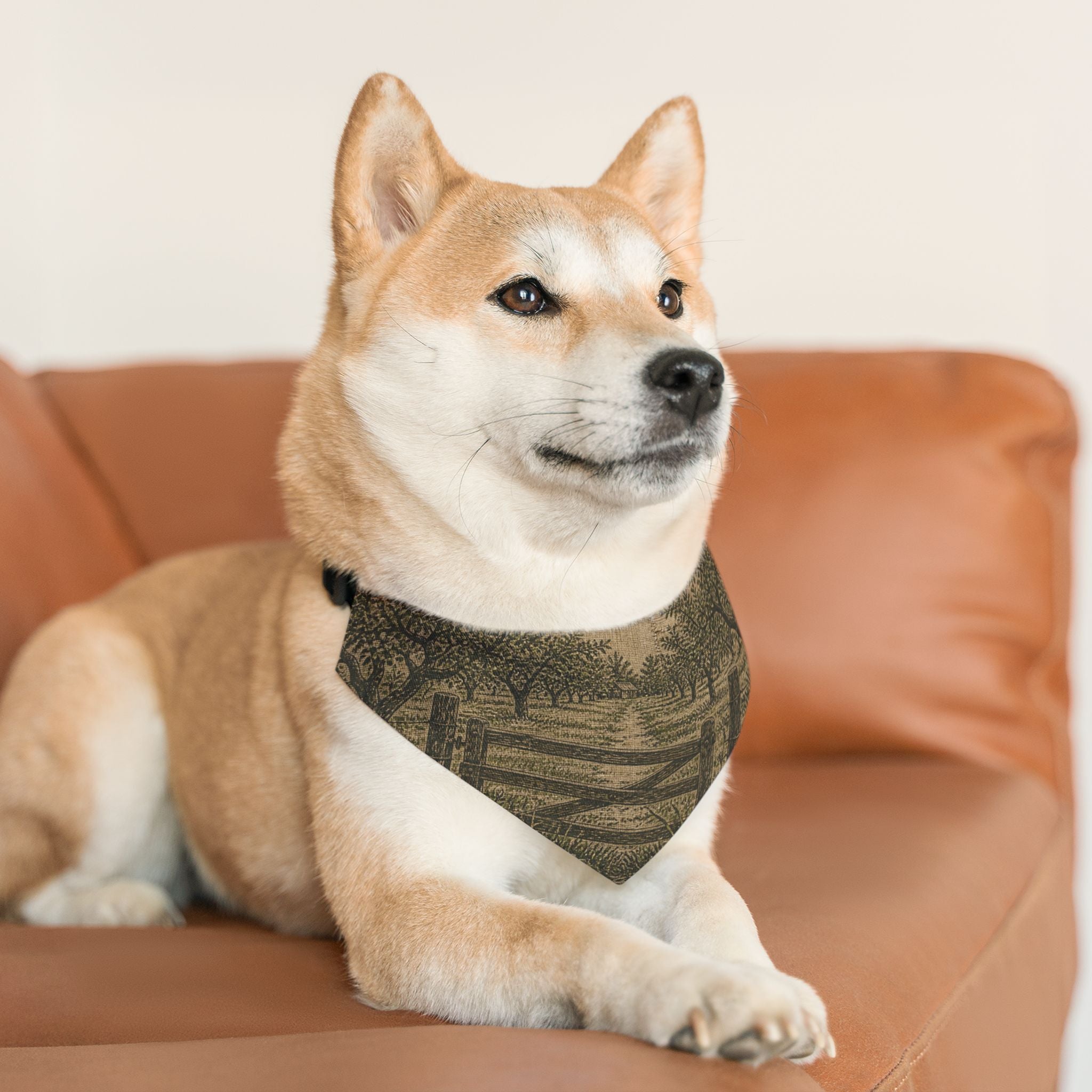 Dog Bandana Collar – Grain-Sack Orchard Gate | Machine-Washable, S–XL