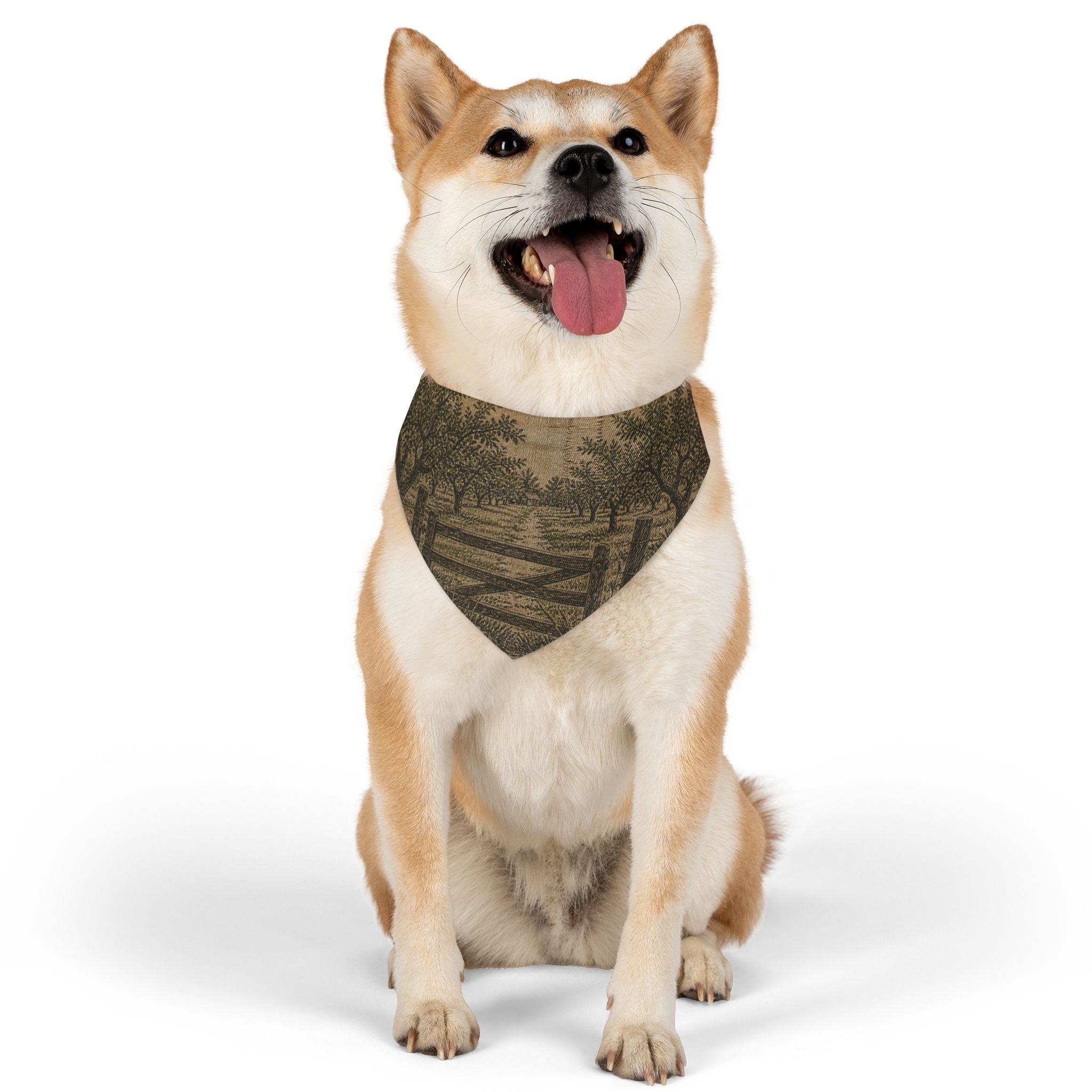 Dog Bandana Collar – Grain-Sack Orchard Gate | Machine-Washable, S–XL