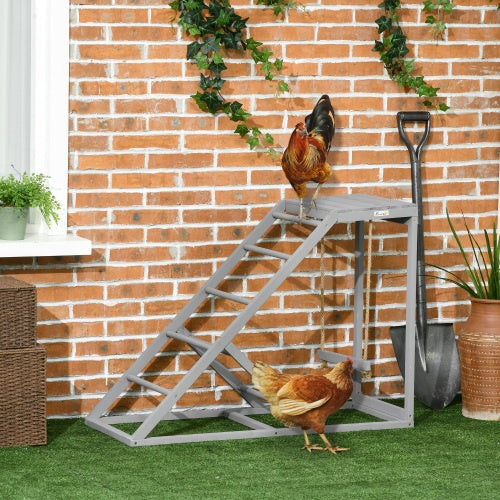 The Chicken Playground — Perch, Swing & Ladder
