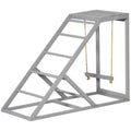 The Chicken Playground — Perch, Swing & Ladder
