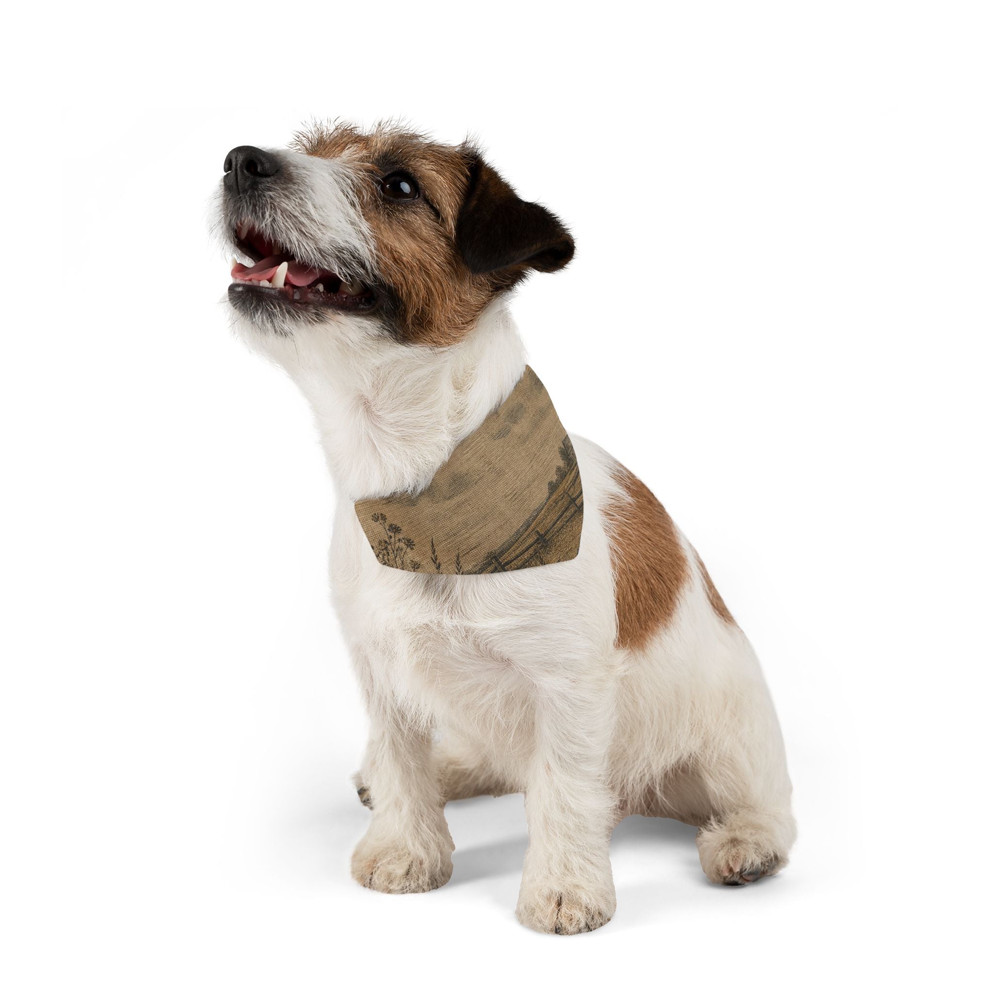 Dog Bandana Collar – Linen Field & Barn | Machine-Washable, S–XL