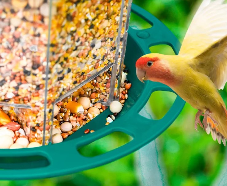The Automatic Bird Feeder