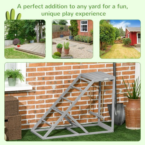 The Chicken Playground — Perch, Swing & Ladder