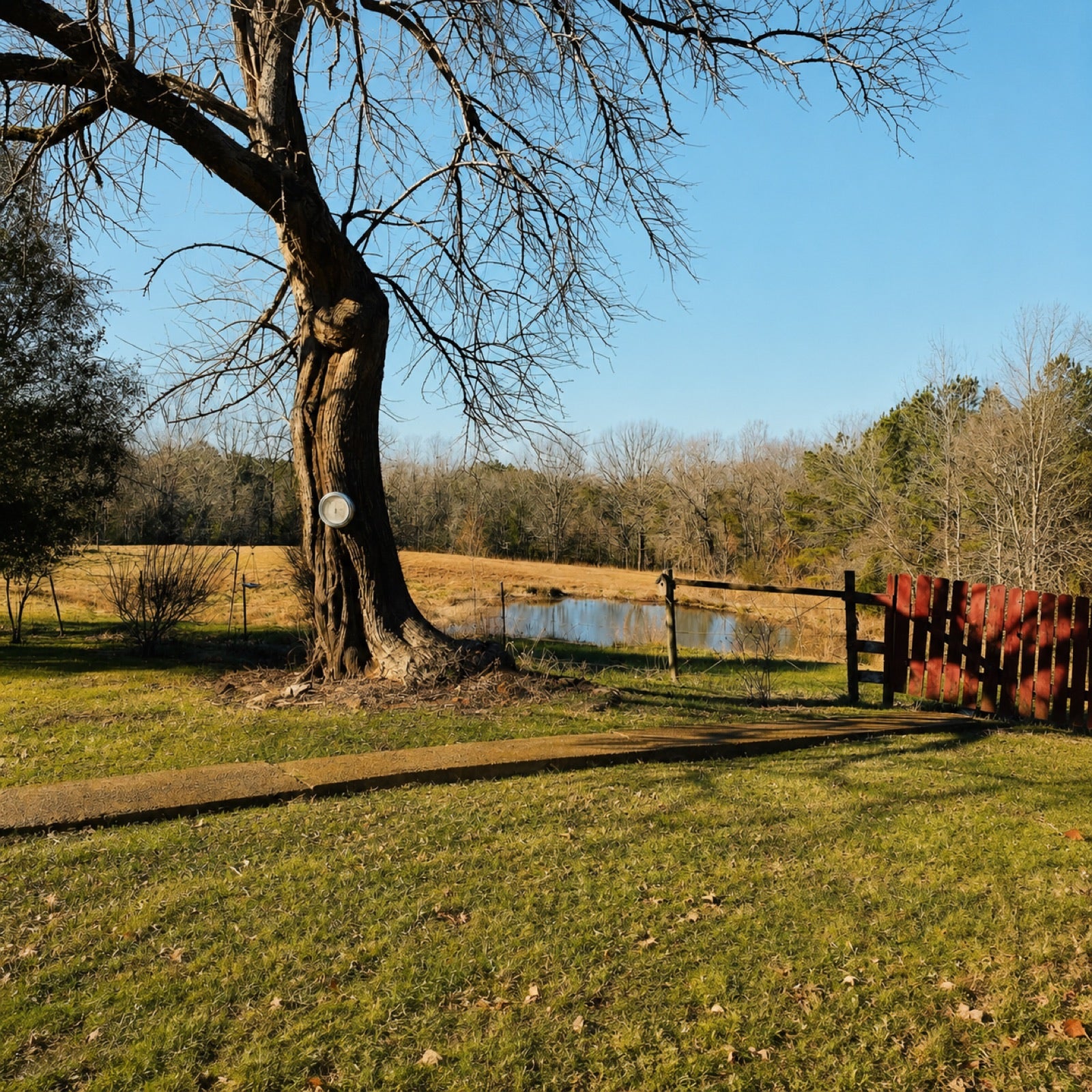 The pond at Tramel Farms